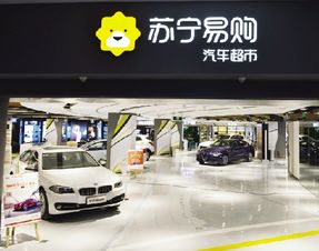 天能集團(tuán)與蘇寧達(dá)成合作 將設(shè)電動車服務(wù)站