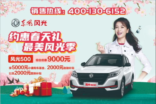 溫州東風小康 易車