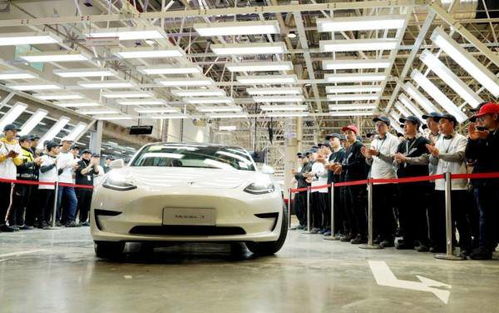 浦東,激蕩30年,澎湃向上的力量