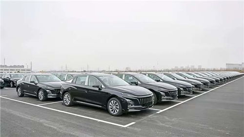 中國(guó)一汽,以進(jìn)化致敬新時(shí)代