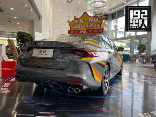 探店影豹 有跑車般排氣聲浪,起售不到10萬(wàn),能撼動(dòng)思域嗎